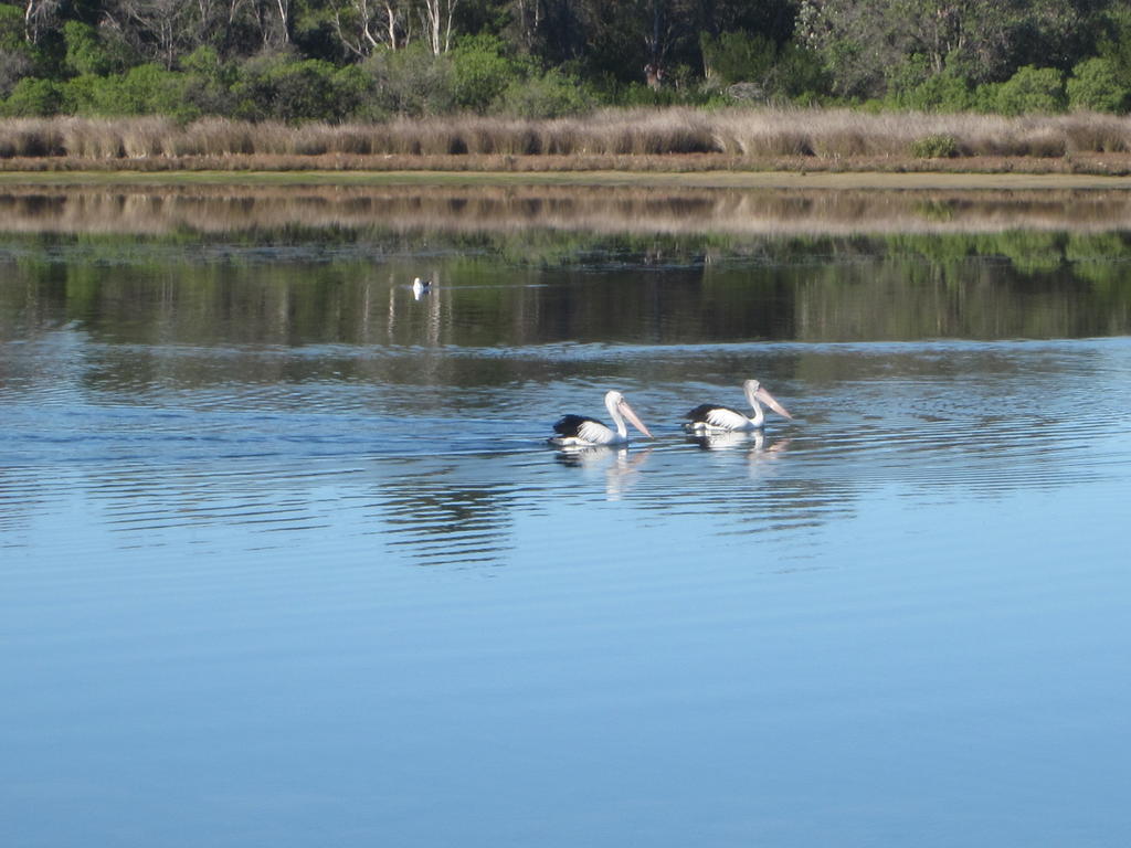 Lakes Entrance Waterfront Cottages With King Beds Eksteriør billede