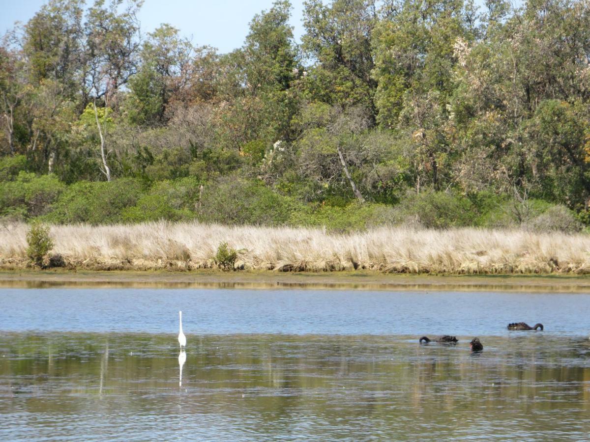 Lakes Entrance Waterfront Cottages With King Beds Eksteriør billede